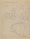 Pattern for Dress