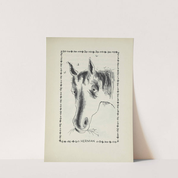 Paul’s Horse Herman Pl. 1 (1958) by Harvey Weiss