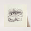 Paul’s Horse Herman Pl.15 (1958) by Harvey Weiss