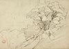 Payage (Bouquet d’arbres)