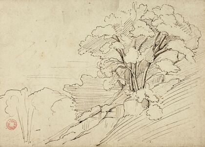 Payage (Bouquet d’arbres)