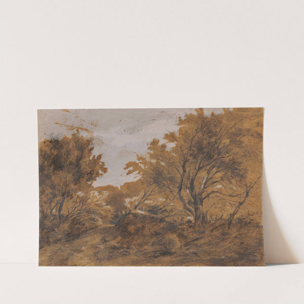 Paysage boisé, coup de vent (before 1868) by Théodore Rousseau