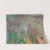 Paysage clair ou Oliviers à Cagnes by Pierre Bonnard