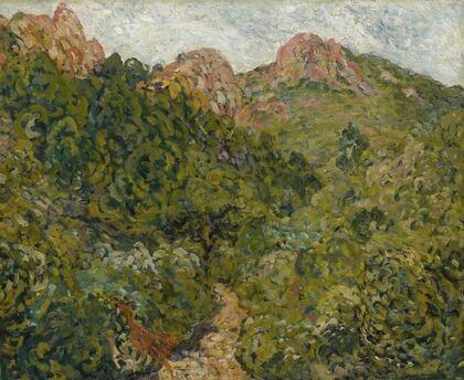 Paysage du Midi