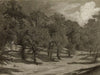 Paysage – orÃ©e d’un bois
