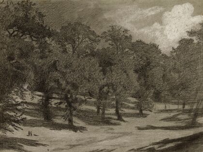 Paysage – orÃ©e d’un bois