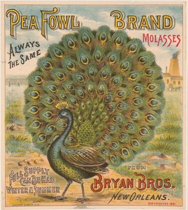 Pea Fowl brand molasses. Bryan Bros. New Orleans (1891)