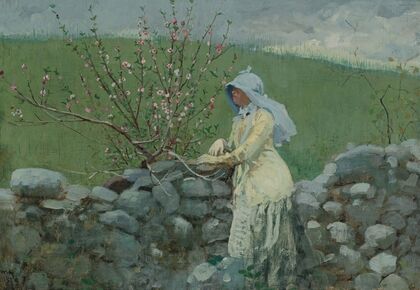 Peach Blossoms