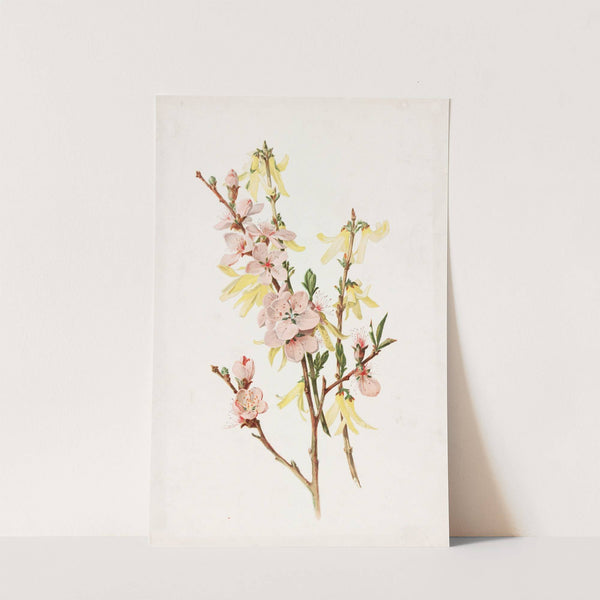 Peach Blossoms and Forsythia (1885) by Alois Lunzer