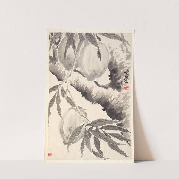 Peaches by Min Zhen