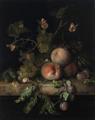 Peaches, grapes and plums with a dragonfly, snail, caterpillar, butterfly and other insects on a stone ledge