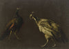 Peacock and peahen