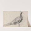 Peacock at Capel Curig (1840s) by David Cox