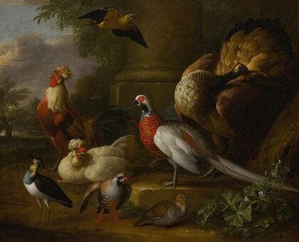 Peacock, pheasant, chickens, partridges and a lapwing in a landscape — size preview