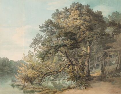 Peamore,Devon