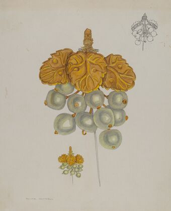 Pearl Pin