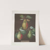 Pears (Chaumontelle, Windsor and the Summer bon Chretien varities). (1812) by George Brookshaw
