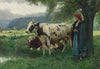 Peasant woman with cows
