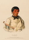 Pee-Che-Kir, A Chippewa Chief