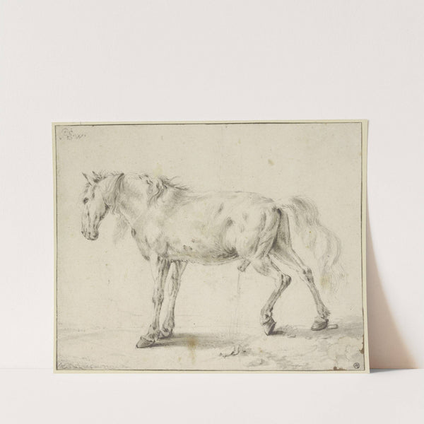 Peeing horse by Philips Wouwerman