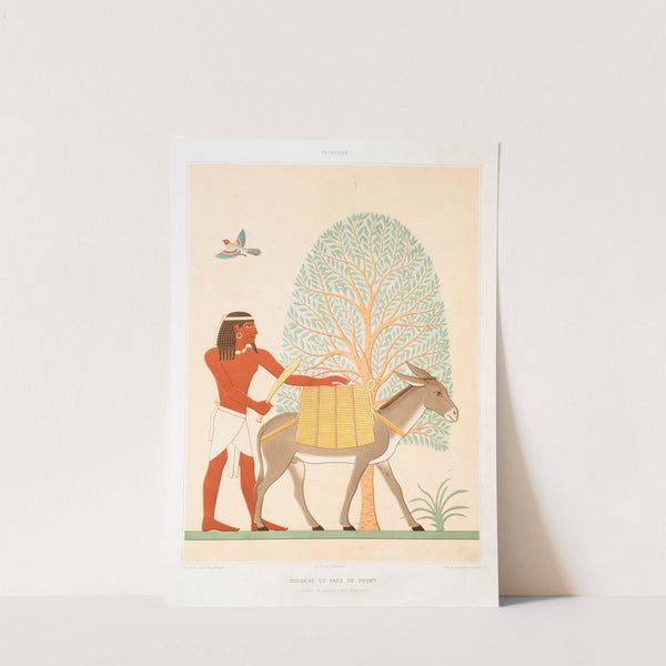 Peinture; indigène du pays de pount (Thèbes ; El-Assacif - XVIIe. dynastie) by Émile Prisse d'Avennes