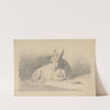 Pencil exercise, no. 5 - donkey by Richard Sanger Smith