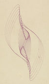 Pendulum Curve
