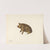 Penny Bank - Pig by Charles Henning