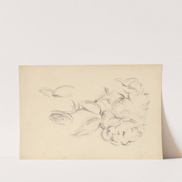 Peonies (1890-1893) by Paul Cézanne