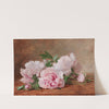 Peonies by Alexandre Gamba de Preydour