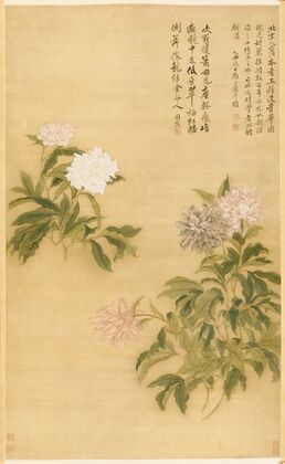 Peonies