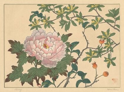 Peony