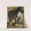 Percheron harnessed by Piotr Michałowski