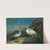 Perlhühner Und Nasenbär (1722) by Philipp Ferdinand de Hamilton