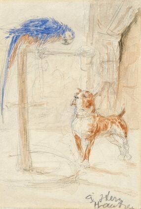 Perroquet et chien
