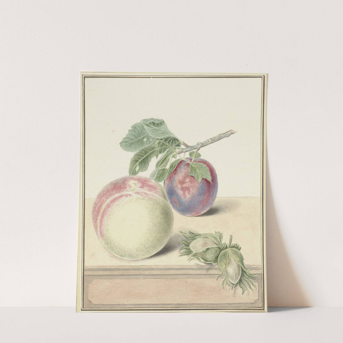 Perzik, een pruim met blad en een paar noten, after Michiel van Huysum by Elisabeth Geertruida van de Kasteele