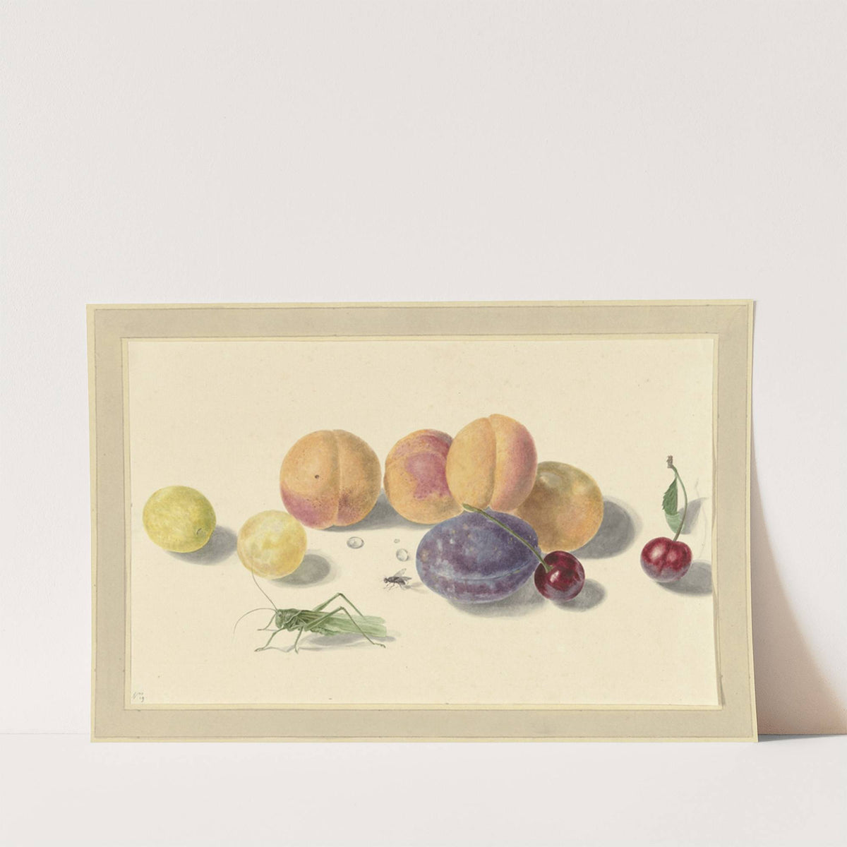 Perziken, pruimen, kersen en twee insecten, after Michiel van Huysum by Elisabeth Geertruida van de Kasteele