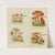 Petit atlas des champignons Pl.7 (1900) by Delachaux &amp; Niestlé