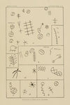Petroglyphs in Owens Valley, California 6