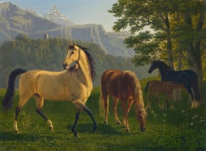 Pferde Vor Landschaft Horses In Landscape