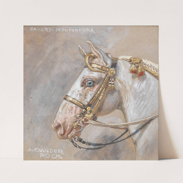 Pferdeporträt Favory Montenegra by Alexander Pock