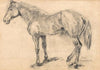 Pferdestudie (1941)