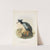 Phalacrocorax featherstoni by John Gerrard Keulemans