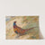 Pheasant (1933) by Archibald Thorburn