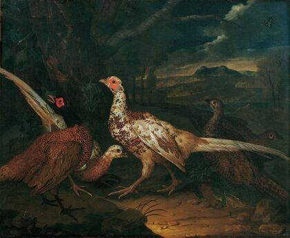 Pheasants