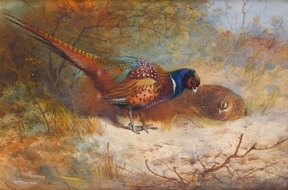 Pheasants (1918)