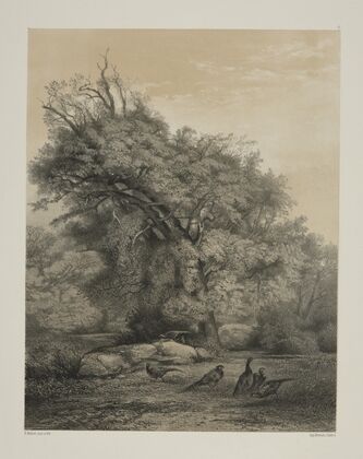 Pheasants (1858)