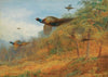Pheasants Breaking Out Of Cover (1908)