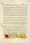 Pheasant’s Eye and Buttercup (1561–1596)