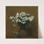 Phlox Blancs Dans Un Vase by Henri Fantin-Latour